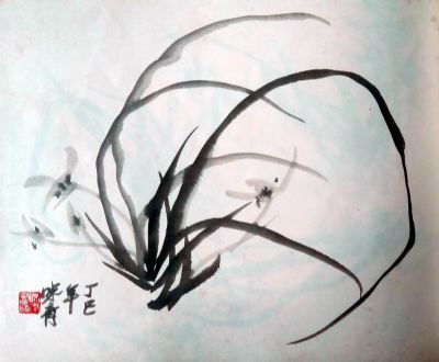 兰花册页(14开)