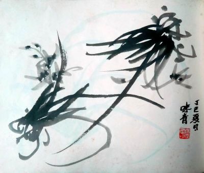 兰花册页(14开)