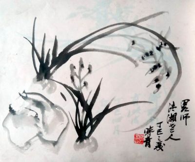 兰花册页(14开)